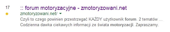 zmotoryzowani.net miejsce 17 na Google SERP