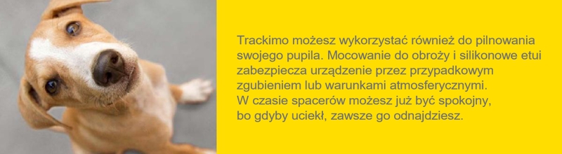 lokalizacja zwierząt Zagubiony zwierzak - zlokalizuj go