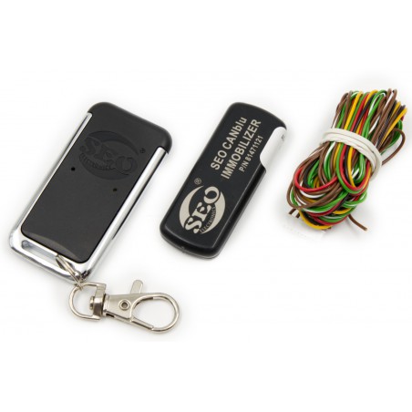 immobilizer can cyfrowy seo canblu