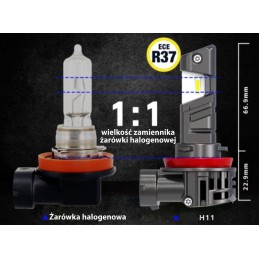 żarówki led h11