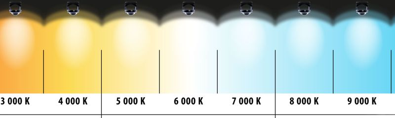 xenon d1s  4800k